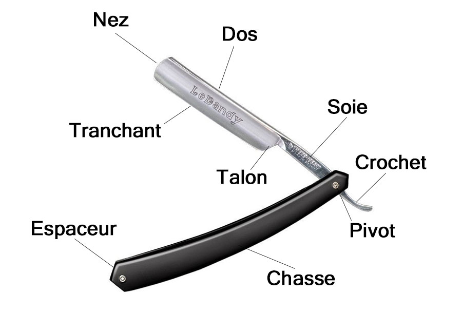 anatomie coupe-choux